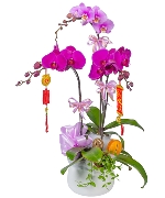 Ngày Quốc tế Phụ nữ 11126