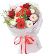 Bộ sưu tập 10679