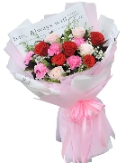 Bộ sưu tập 12274