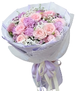 Bộ sưu tập 12297