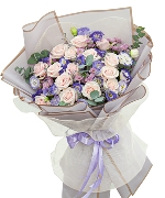 Bộ sưu tập 14469