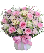 Bộ sưu tập 14655