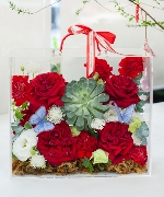 Bộ sưu tập 14936