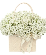 Bộ sưu tập 15148