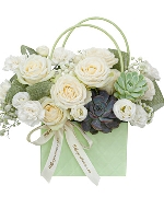 Bộ sưu tập 15300