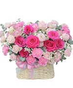 Bộ sưu tập 15685