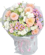 Bộ sưu tập 4922