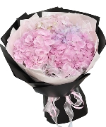 Bộ sưu tập 8288