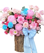 Hoa Cát Tường 14598