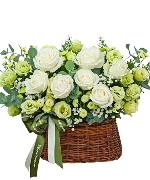 Hoa Cát Tường 14709