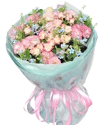 Hoa Cát Tường 2379