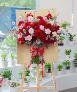 Hoa Cát Tường 4089