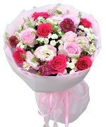 Hoa Cát Tường 4710