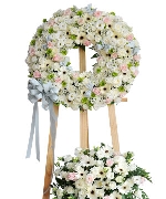 Hoa Cát Tường 5596