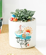 Cây để bàn 11051