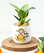 Hoa yêu thương 11055