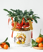 Cây để bàn 11190