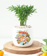 Hoa yêu thương 13557