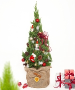 Cây để bàn 14827