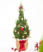 Cây để bàn 14828