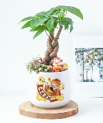 Hoa yêu thương 7773