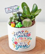 Cây để bàn 7929