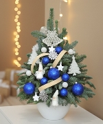 Thông Noel trang trí 12250