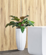 Chậu cây thông minh 9420