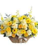 Husband 16621