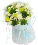 Husband 16683