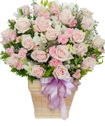 Husband 3215