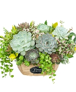 Hoa yêu thương 14389