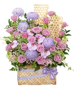 Hoa yêu thương 8048