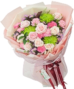 Cẩm chướng 13282