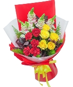 Cẩm chướng 13445