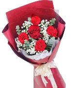 Cẩm chướng 14270