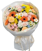 Cẩm chướng 5048