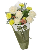 Cẩm chướng 7239