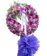 Cẩm chướng 8388