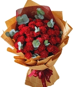 Cẩm chướng 8756