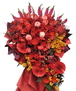 Hoa cảm ơn 10267