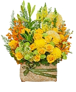 Hoa cảm ơn 12348