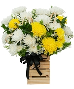 Hoa chia buồn 12911