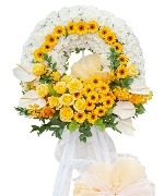 Hoa yêu thương 13099