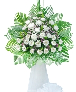 Hoa yêu thương 13144