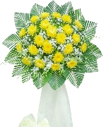 Hoa yêu thương 13146