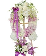 Hoa yêu thương 13532