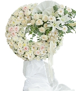 Hoa yêu thương 14495