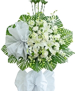 Hoa chia buồn 14991
