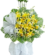 Hoa chia buồn 14993